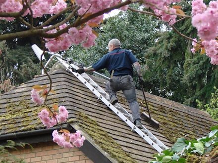 Manually scraping moss off a roof prior to soft washing -  All roof cleaning Services by Roof Repairs Belfast, Belfast, Northern Ireland