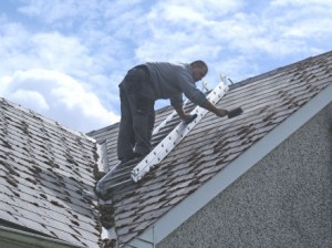 Manually scraping moss off a roof prior to soft washing -  All roof cleaning Services by Roof Repairs Belfast, Northern Ireland